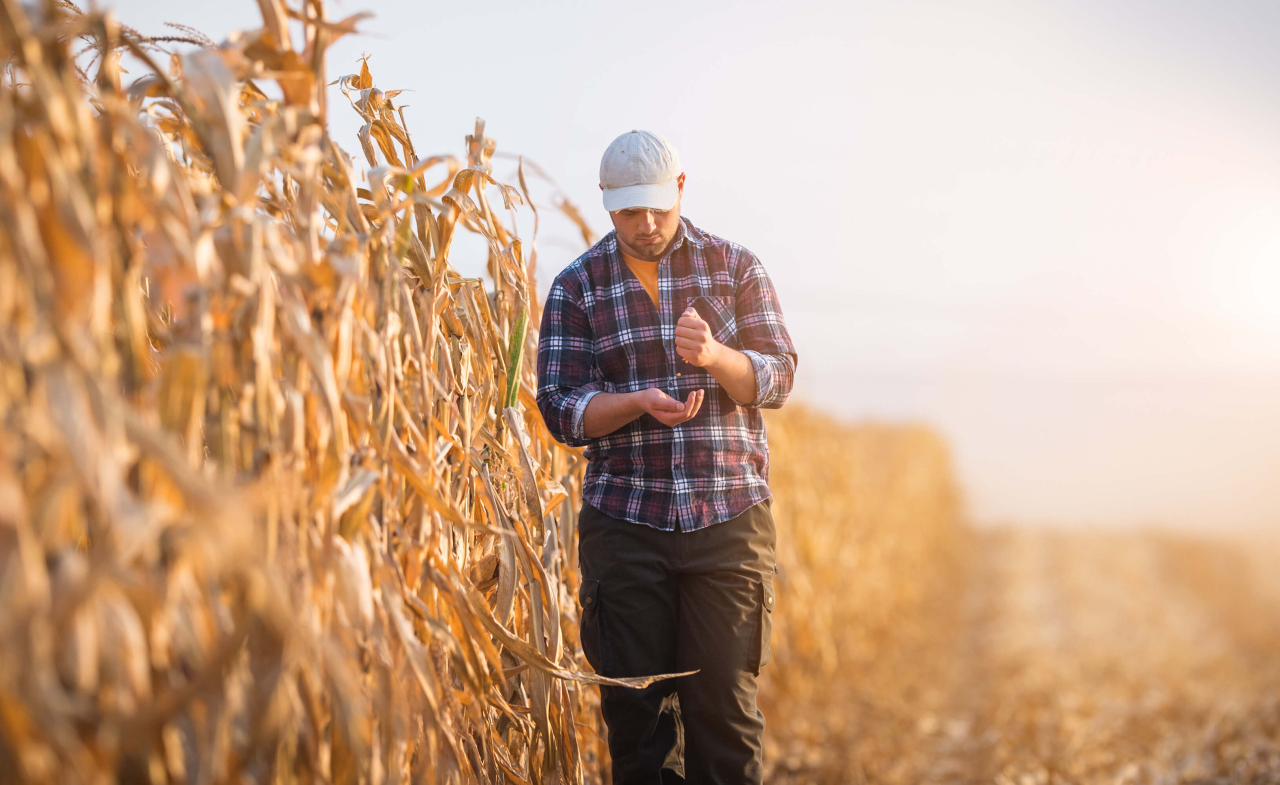 ÁE Aranykalászos gazda tanfolyam