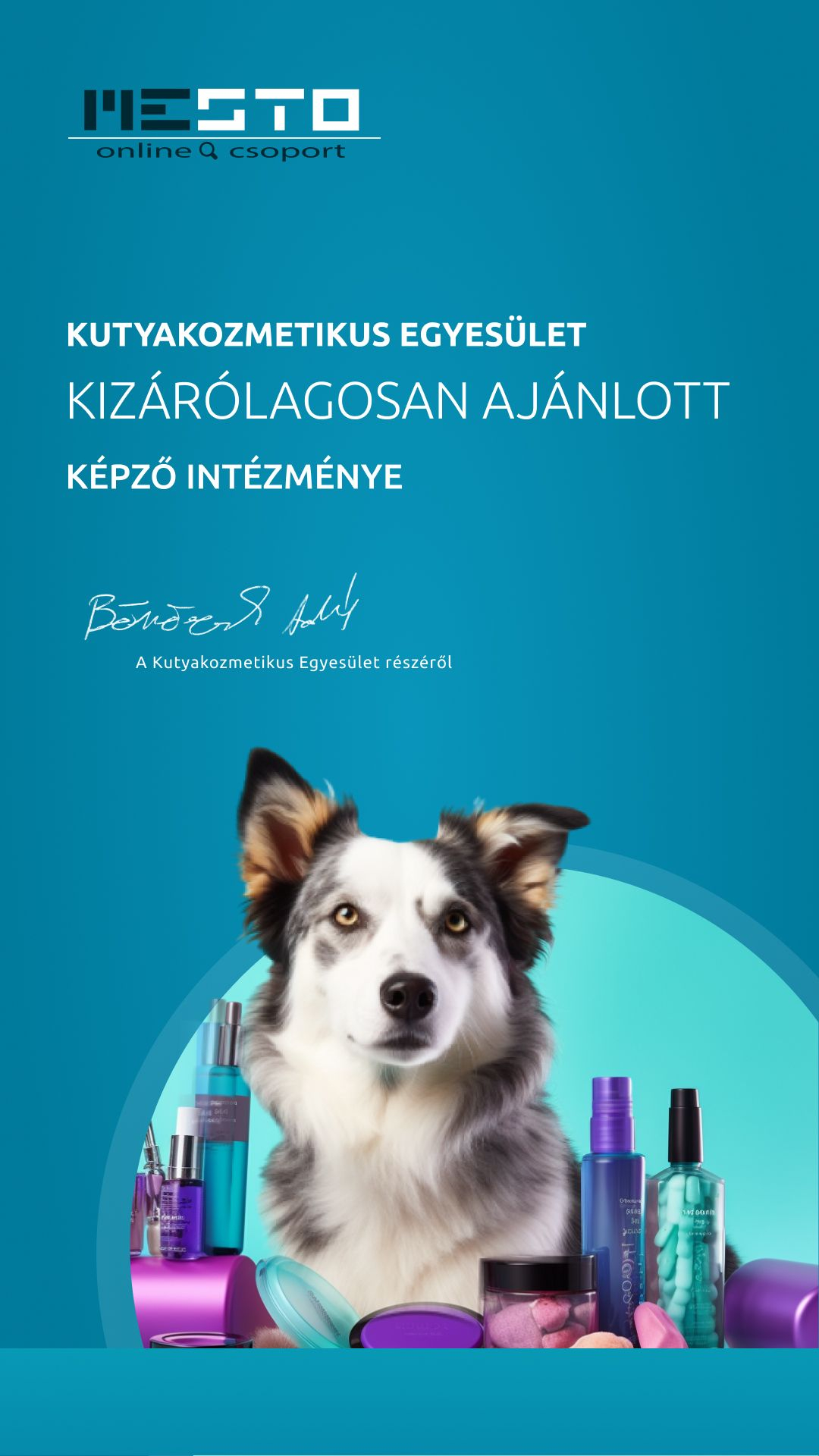 ÁE Kutyakozmetikus tanfolyam gyakorlattal