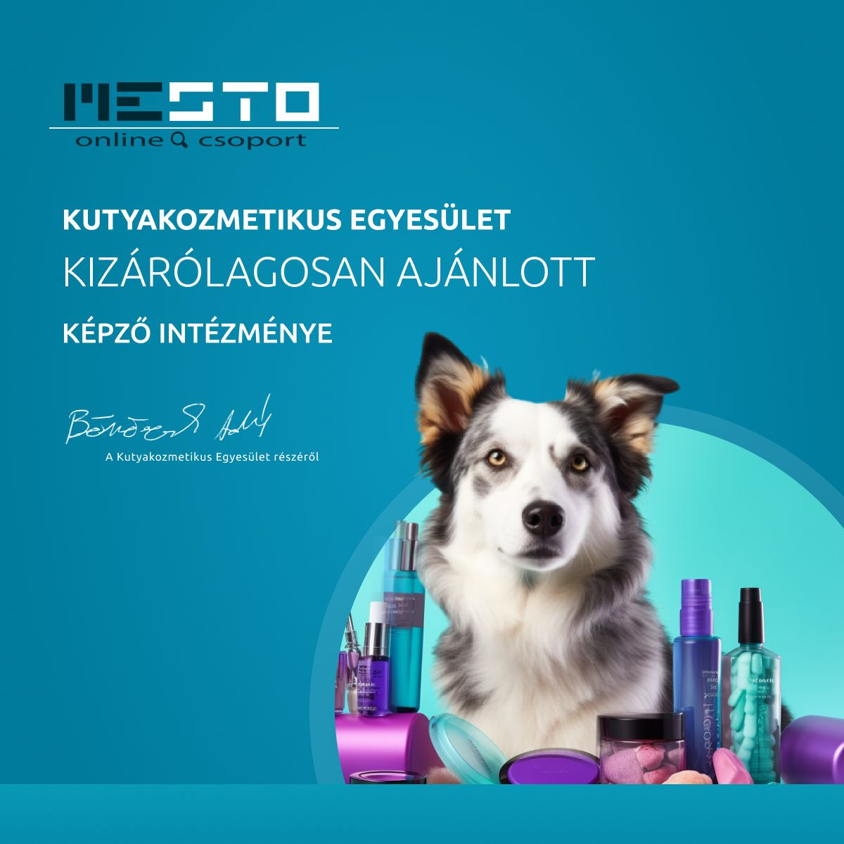 ÁE Kutyakozmetikus tanfolyam gyakorlattal